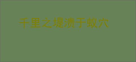 千里之堤溃于蚁穴