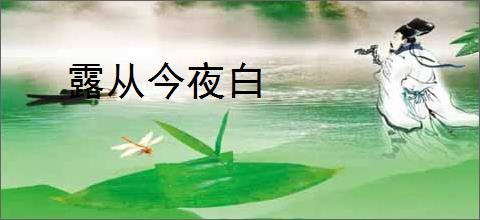 露从今夜白