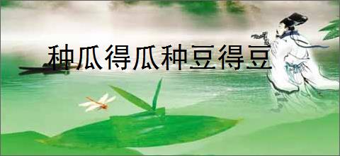 种瓜得瓜种豆得豆