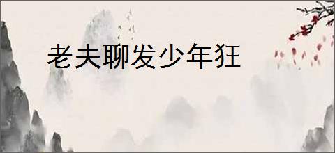老夫聊发少年狂