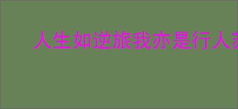 人生如逆旅我亦是行人苏轼《临江仙》