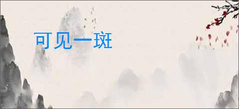 可见一斑
