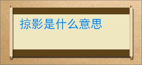 掠影是什么意思